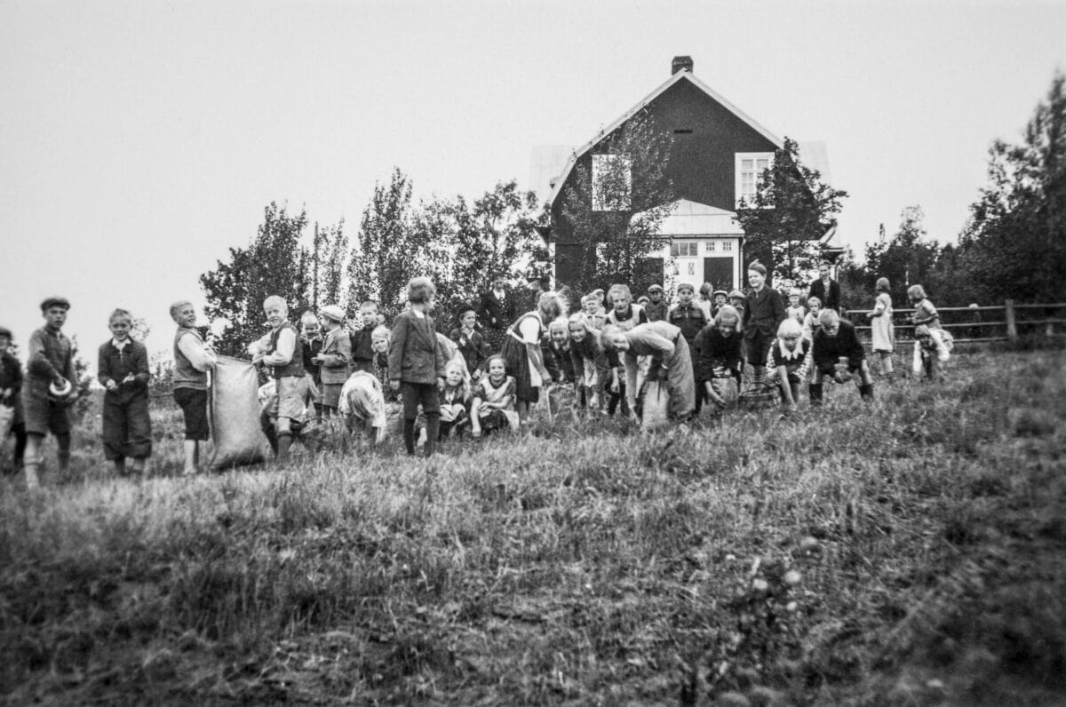 Koulun kattaus kulki keitoista tortillaan | Kulttuuri | Kotiseutulainen