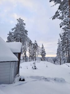 MetsäAnna lähiluontokohteessa: Urjalan Pölkinvuori – Maisema palkitsee myös talvella