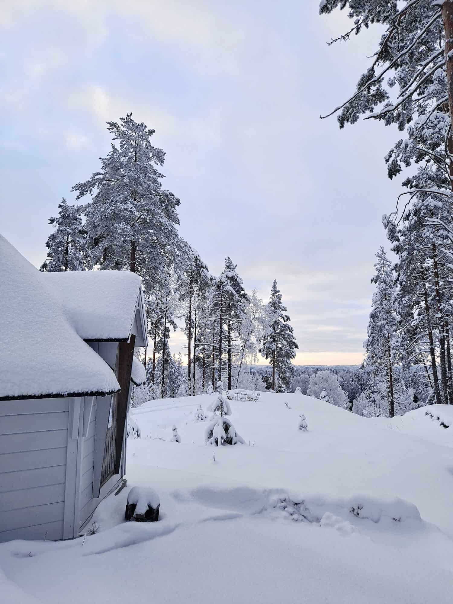 MetsäAnna lähiluontokohteessa: Urjalan Pölkinvuori – Maisema palkitsee myös talvella | Luonto | Kotiseutulainen