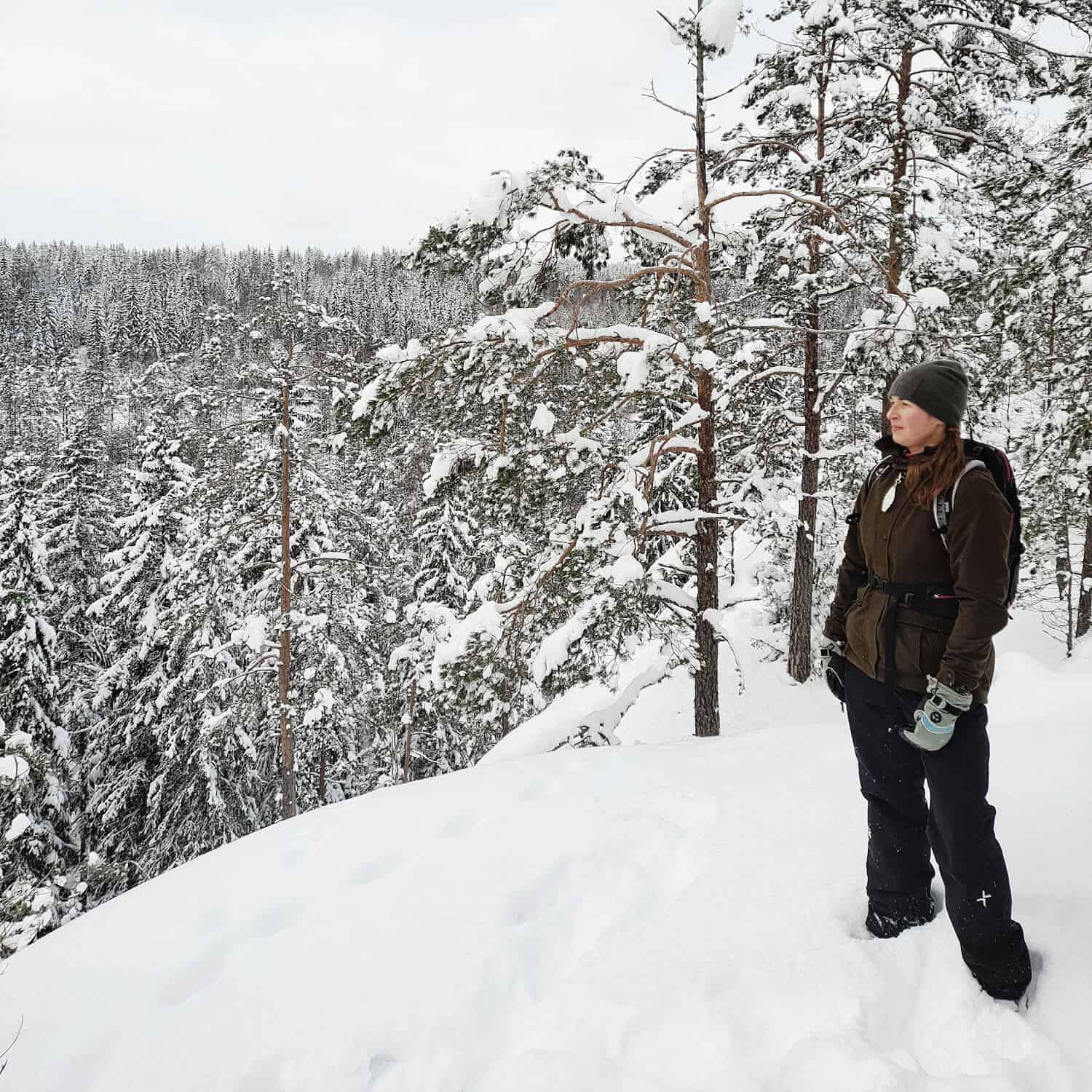 MetsäAnna lähiluontokohteessa: Someron Metsäkoivulan polku – Talvimetsän siimeksessä | Luonto | Kotiseutulainen
