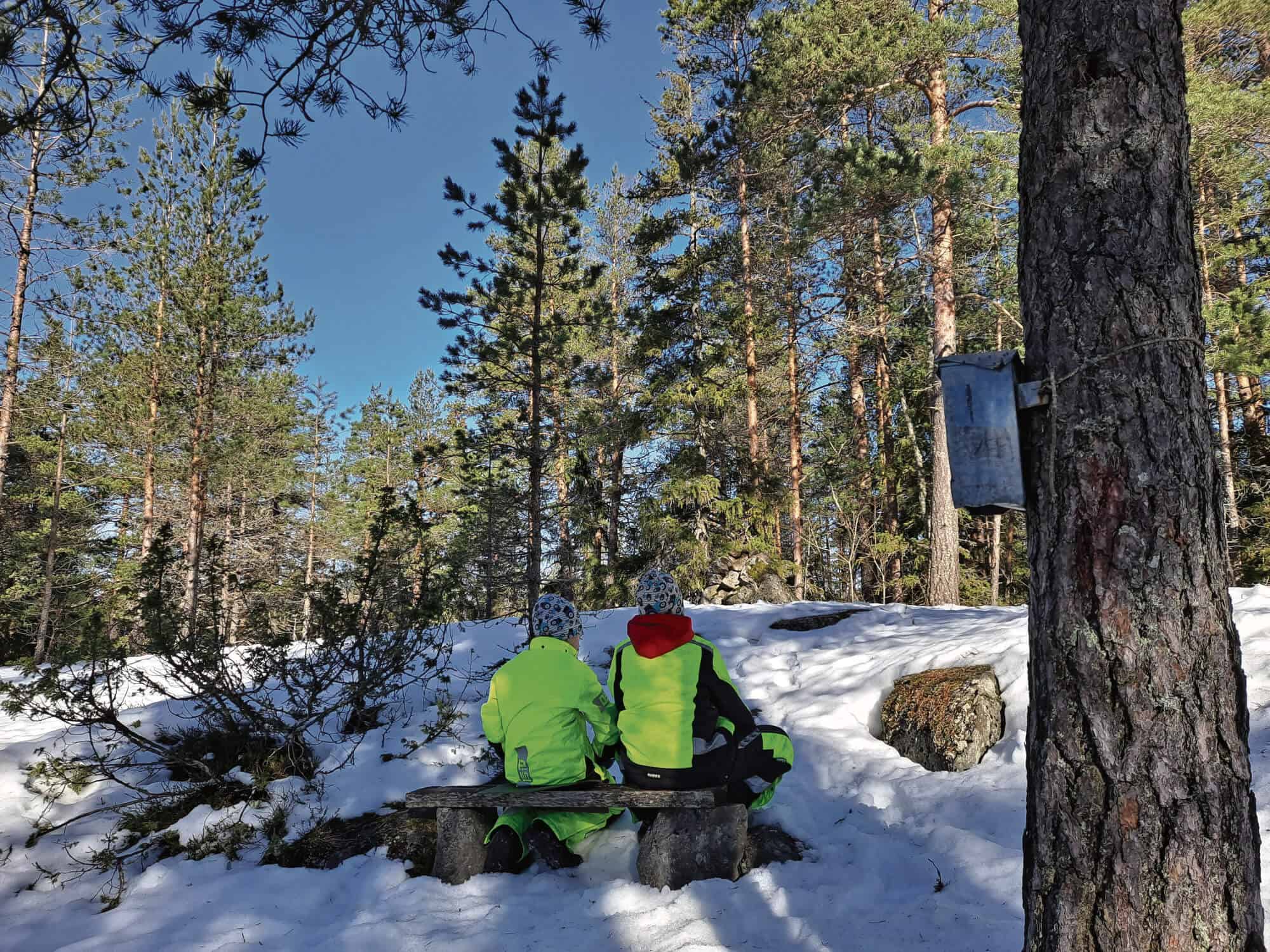 MetsäAnna lähiluontokohteessa: Ypäjällä hienoja nuotioretkipaikkoja | Luonto | Kotiseutulainen