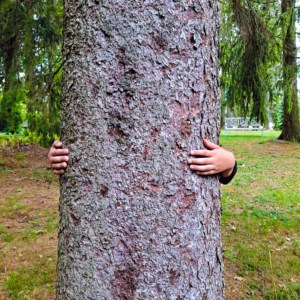 Halaa puuta – arvosta lähiympäristöäsi 23.8.-29.8.2021