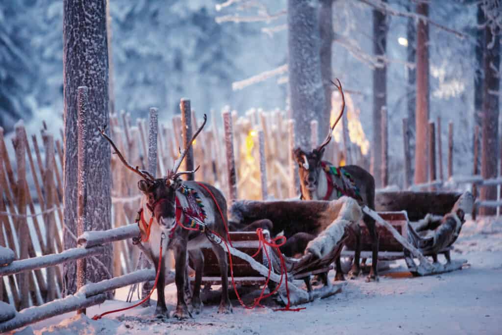 Onnistuneet treenit takana: Joulupukki ja Petteri joukkoineen kohta matkaan | Joulu | Kotiseutulainen