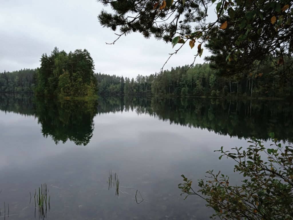 MetsäAnna lähiluontokohteessa: Iso-Valkeen syksyinen kierto | Luonto | Kotiseutulainen
