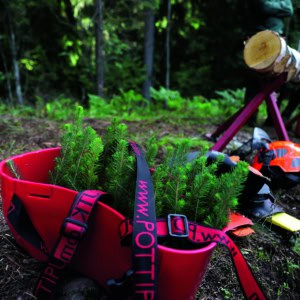Osallistu metsänhoitokurssille Evolla | Kierrätys | Kotiseutulainen