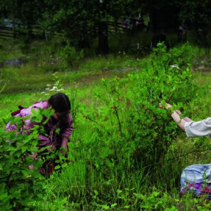 Korteniemessä lapset tutustuttavat luontoon ja elävään kulttuuriperintöön | Kierrätys | Kotiseutulainen