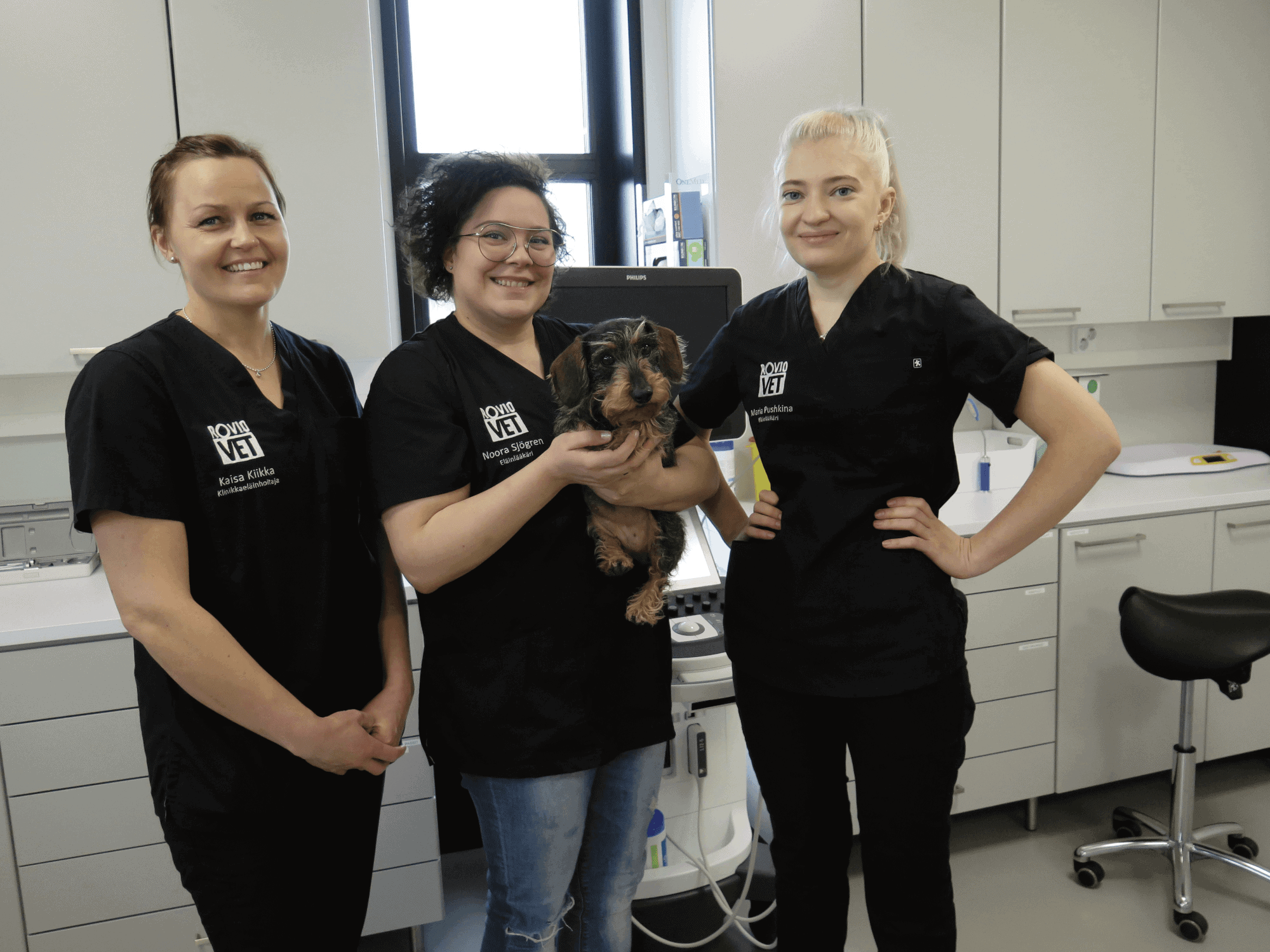 Pieneläinklinikalta kattavat palvelut lemmikeille | Lemmikit | Kotiseutulainen
