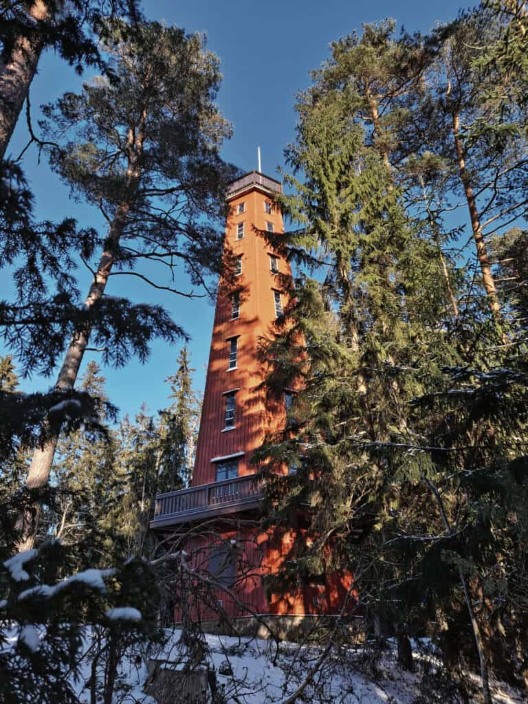 MetsäAnna lähiluontokohteessa: Tammelan Saaren kansanpuisto – Mielenkohotuslenkillä työpäivän päätteeksi | Luonto | Kotiseutulainen