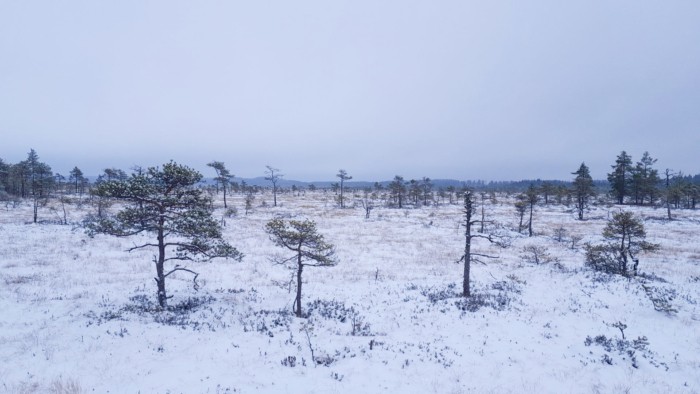 Tammelan kansallispuistot houkuttelevat retkeilemään myös talvella  