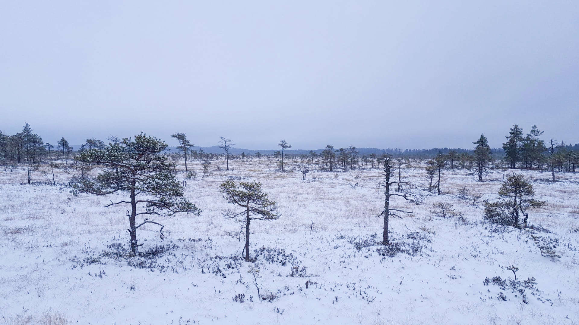 Tammelan kansallispuistot houkuttelevat retkeilemään myös talvella   | Luonto | Kotiseutulainen